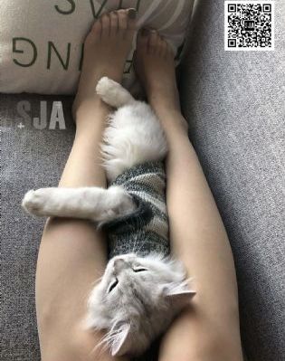 羞羞漫在线观看无限免费_4K高清视频观看